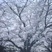 おとは 「暖かい空気に包まれながら」 れもんガールズ