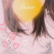 ヒメ日記 2025/11/30 16:37 投稿 綾瀬 しの こあくまな熟女たち 倉敷店(KOAKUMAグループ)