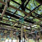 ヒメ日記 2025/10/08 21:21 投稿 まこと あかね治療院