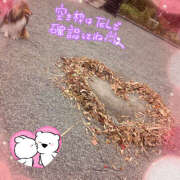 ヒメ日記 2025/10/30 09:01 投稿 みあ ハピネス水戸