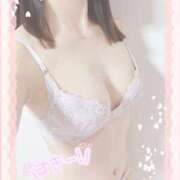 ヒメ日記 2026/02/24 21:40 投稿 ひばり 40分7600円 回春性感メンズエステ猫の手 岐阜／岐南