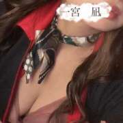 ヒメ日記 2026/03/04 20:20 投稿 一宮　凪 リラクゼーションサロン　le Cocon～ルココン～