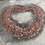 ヒメ日記 2025/09/09 16:56 投稿 山口 熟女の風俗最終章 新横浜店