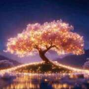 ヒメ日記 2025/09/09 23:06 投稿 山口 熟女の風俗最終章 新横浜店