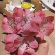 ヒメ日記 2026/02/23 14:09 投稿 天王洲あいる Mrs. Dandy