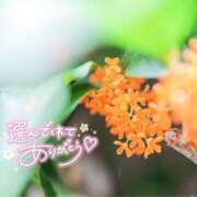 ヒメ日記 2025/09/22 20:50 投稿 花凪　はな 本庄人妻城