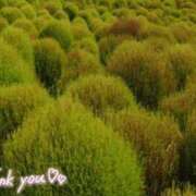 ヒメ日記 2025/09/25 20:07 投稿 花凪　はな 本庄人妻城