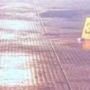 ヒメ日記 2025/10/10 16:28 投稿 花凪　はな 本庄人妻城