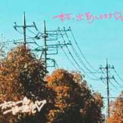 ヒメ日記 2025/11/16 11:13 投稿 花凪　はな 本庄人妻城