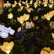 花凪　はな 予定🗓 本庄人妻城