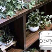 ヒメ日記 2026/01/19 19:03 投稿 花凪　はな 本庄人妻城