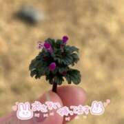 ヒメ日記 2026/02/02 09:44 投稿 花凪　はな 本庄人妻城