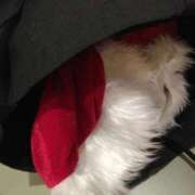 ヒメ日記 2025/12/22 13:21 投稿 天王洲あいる Mrs.Dandy Ueno