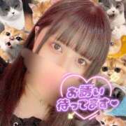 ヒメ日記 2026/02/09 00:34 投稿 あんな ふわふわコレクション