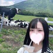 ヒメ日記 2026/06/19 15:19 投稿 喜多川　ゆり 寝取り×制服 義理義理な女学園