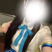 ヒメ日記 2025/09/04 14:49 投稿 なぎさ アイドルドリーム