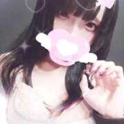 ヒメ日記 2025/11/11 18:00 投稿 めぐ 黒い金魚（札幌）