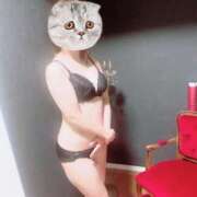 ヒメ日記 2025/09/29 03:17 投稿 ゆめ 丸妻 池袋店