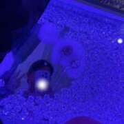 ヒメ日記 2025/11/15 18:46 投稿 LILI どこかのＯＬさん達