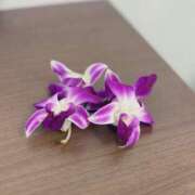 ヒメ日記 2025/12/08 18:15 投稿 LILI どこかのＯＬさん達