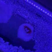 ヒメ日記 2026/01/23 21:41 投稿 LILI どこかのＯＬさん達