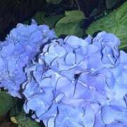 ヒメ日記 2026/06/09 18:33 投稿 LILI どこかのＯＬさん達