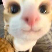 ヒメ日記 2025/10/12 11:53 投稿 りほ 見学娘