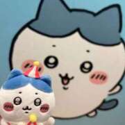 ヒメ日記 2025/11/07 21:23 投稿 りほ 見学娘