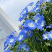 ヒメ日記 2026/07/20 11:01 投稿 しい れもんガールズ