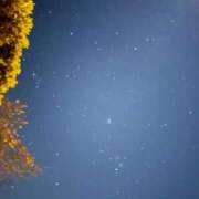 ヒメ日記 2025/12/30 12:45 投稿 宮原 BBW横浜店