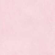 ヒメ日記 2026/03/02 06:03 投稿 宮原 BBW横浜店