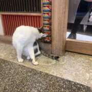 ヒメ日記 2025/09/16 10:13 投稿 ねね 見学娘