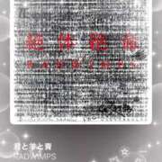 ヒメ日記 2025/10/27 07:33 投稿 ねね 見学娘