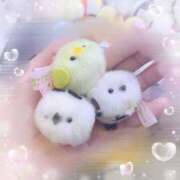 ヒメ日記 2026/02/02 00:23 投稿 ねね 見学娘