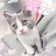 ヒメ日記 2026/02/03 10:33 投稿 ねね 見学娘