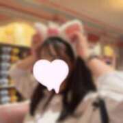 ことね ねこにゃん🐱 見学娘