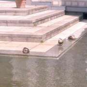 ヒメ日記 2025/09/08 12:23 投稿 あかり 見学娘