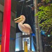 ヒメ日記 2025/11/18 11:06 投稿 あかり 見学娘