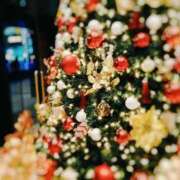 ヒメ日記 2025/12/24 13:33 投稿 ちづる 見学娘