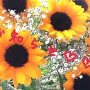 ヒメ日記 2025/09/30 12:17 投稿 たまき 群馬伊勢崎ちゃんこ