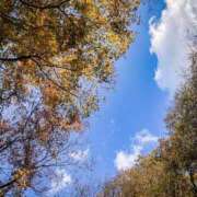 ヒメ日記 2025/11/07 19:37 投稿 たまき 群馬伊勢崎ちゃんこ