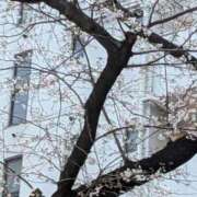 ヒメ日記 2026/03/31 17:43 投稿 小沢 BBW五反田店