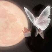 ヒメ日記 2025/12/08 19:50 投稿 つき 水戸人妻花壇