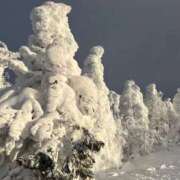 ヒメ日記 2026/02/02 15:29 投稿 雨宮みと 池袋パラダイス