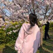 ヒメ日記 2026/04/03 06:19 投稿 雨宮みと 池袋パラダイス