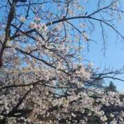 ヒメ日記 2026/04/02 19:39 投稿 ゆあ えちちSPA-えっちな回春性感マッサージ-五反田店