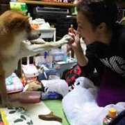 ヒメ日記 2025/09/08 19:14 投稿 ナナミ【FG系列】 デリぽちゃin宇都宮店