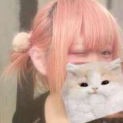 ヒメ日記 2025/09/17 19:14 投稿 ユキニャン ドMな奥様 大阪本店