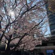 ヒメ日記 2026/03/26 12:43 投稿 そら 見学娘