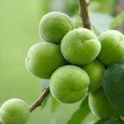 ヒメ日記 2025/10/05 22:53 投稿 あお 見学娘